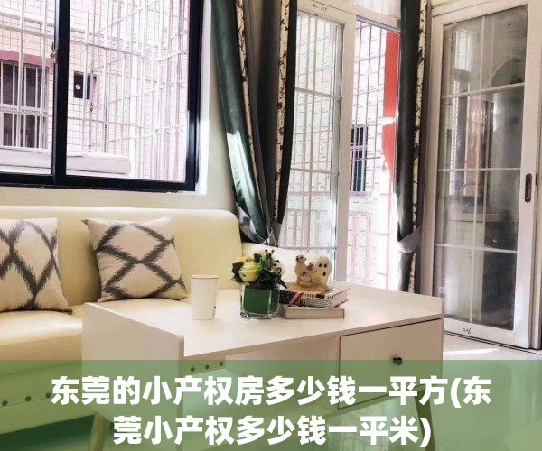 东莞的小产权房多少钱一平方(东莞小产权多少钱一平米)