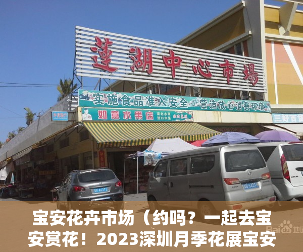 宝安花卉市场（约吗？一起去宝安赏花！2023深圳月季花展宝安分会场启幕）