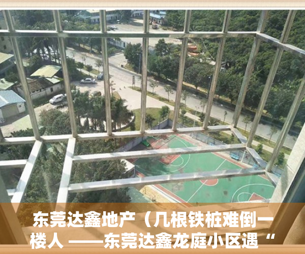 东莞达鑫地产（几根铁桩难倒一楼人 ——东莞达鑫龙庭小区遇“双重停车费”问题）