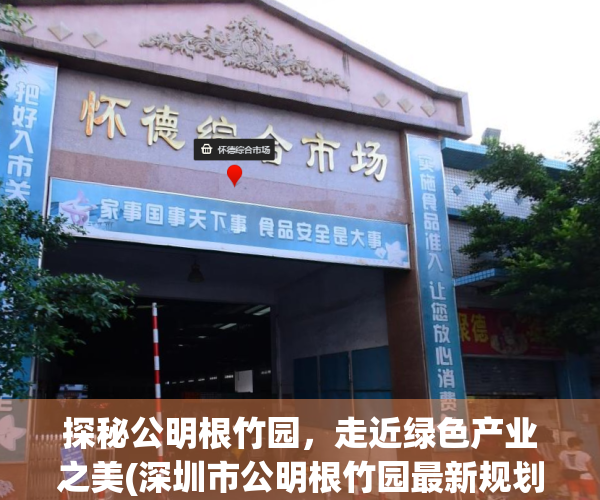 探秘公明根竹园，走近绿色产业之美(深圳市公明根竹园最新规划)