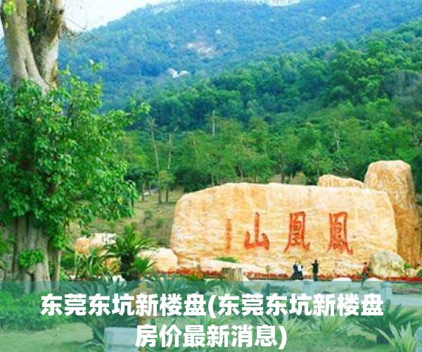 东莞东坑新楼盘(东莞东坑新楼盘房价最新消息)