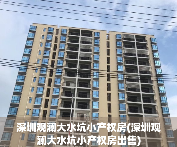 深圳观澜大水坑小产权房(深圳观澜大水坑小产权房出售)