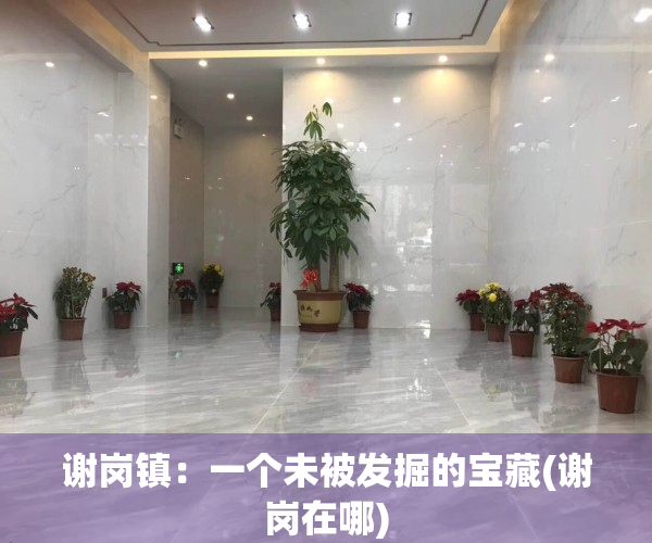 谢岗镇：一个未被发掘的宝藏(谢岗在哪)