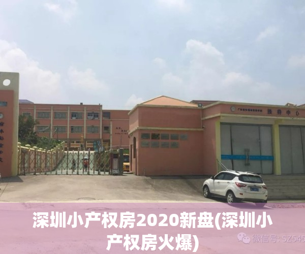 深圳小产权房2020新盘(深圳小产权房火爆)