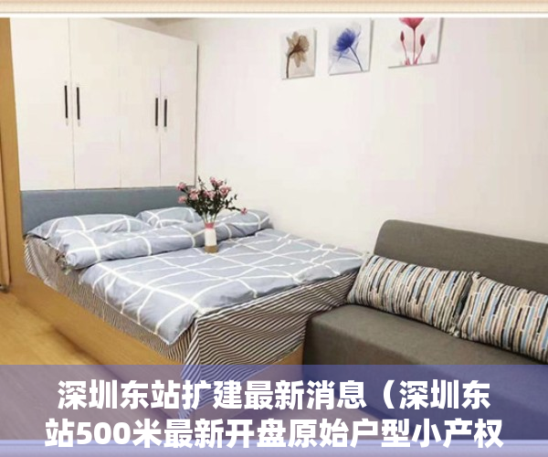 深圳东站扩建最新消息（深圳东站500米最新开盘原始户型小产权房【东城花园】精装电梯房，总价328万起，分期10年，手续齐全）
