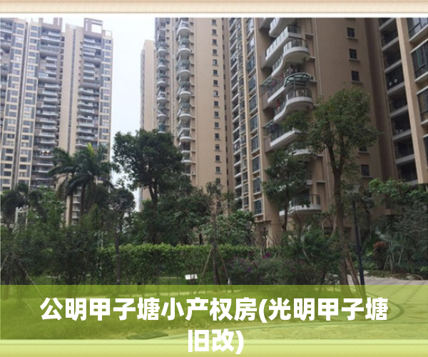 公明甲子塘小产权房(光明甲子塘旧改)