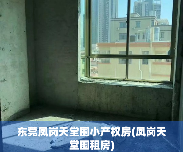 东莞凤岗天堂围小产权房(凤岗天堂围租房)