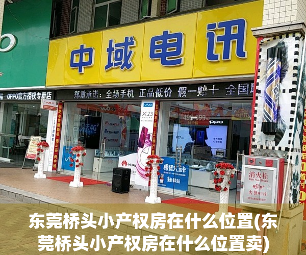 东莞桥头小产权房在什么位置(东莞桥头小产权房在什么位置卖)