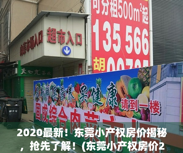 2020最新！东莞小产权房价揭秘，抢先了解！(东莞小产权房价2020最新价格)
