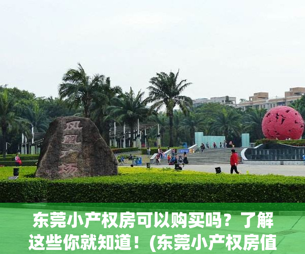 东莞小产权房可以购买吗？了解这些你就知道！(东莞小产权房值得投资吗)