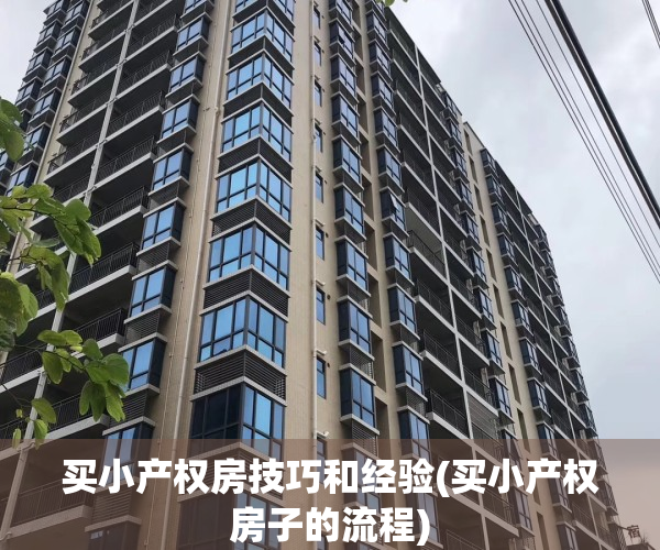 买小产权房技巧和经验(买小产权房子的流程)