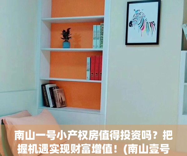 南山一号小产权房值得投资吗？把握机遇实现财富增值！(南山壹号价格)