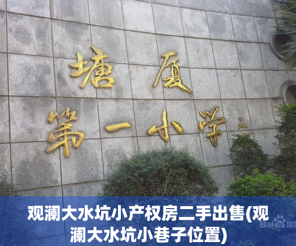 观澜大水坑小产权房二手出售(观澜大水坑小巷子位置)