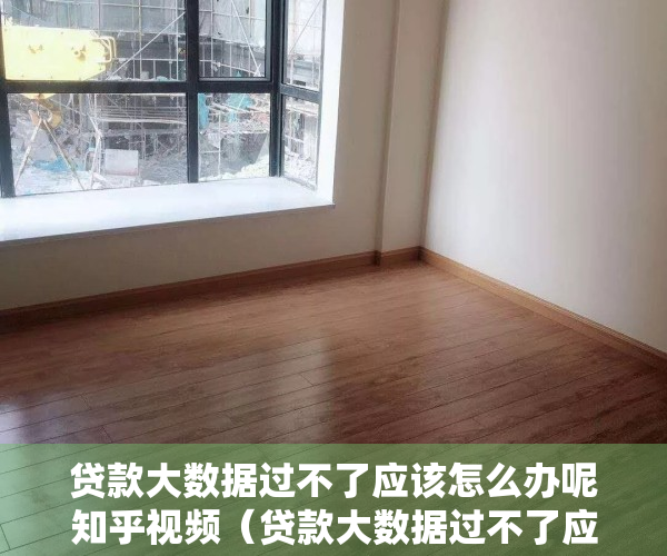 贷款大数据过不了应该怎么办呢知乎视频（贷款大数据过不了应该怎么办呢？）