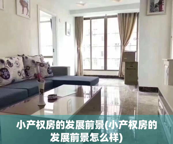 小产权房的发展前景(小产权房的发展前景怎么样)