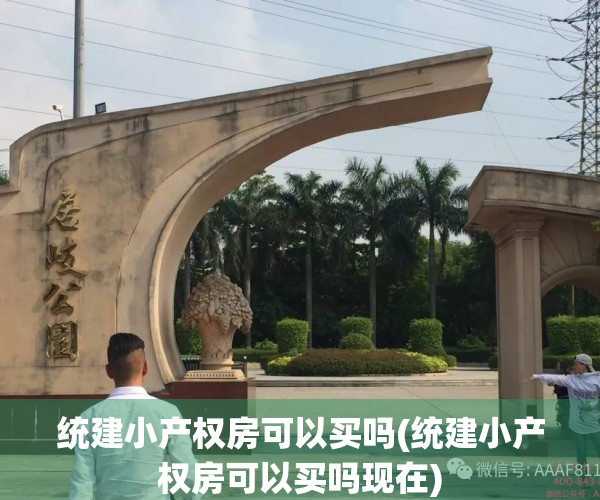 统建小产权房可以买吗(统建小产权房可以买吗现在)