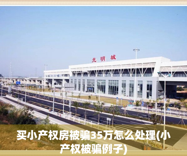 买小产权房被骗35万怎么处理(小产权被骗例子)