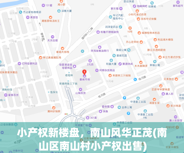 小产权新楼盘，南山风华正茂(南山区南山村小产权出售)