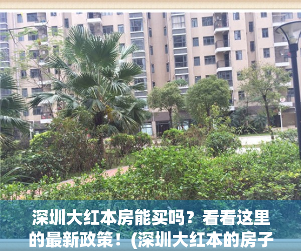 深圳大红本房能买吗？看看这里的最新政策！(深圳大红本的房子能买吗)
