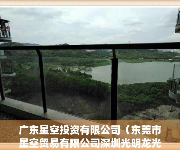 广东星空投资有限公司（东莞市星空贸易有限公司深圳光明龙光广场分公司经营销售不合格(积木)案）