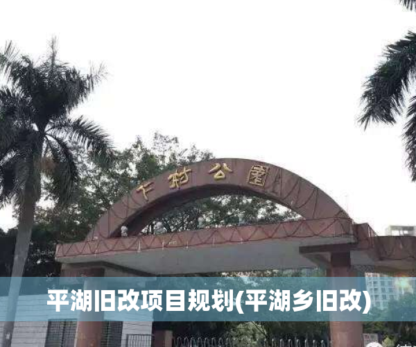 平湖旧改项目规划(平湖乡旧改)