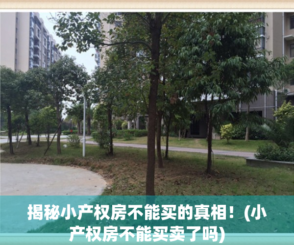 揭秘小产权房不能买的真相！(小产权房不能买卖了吗)