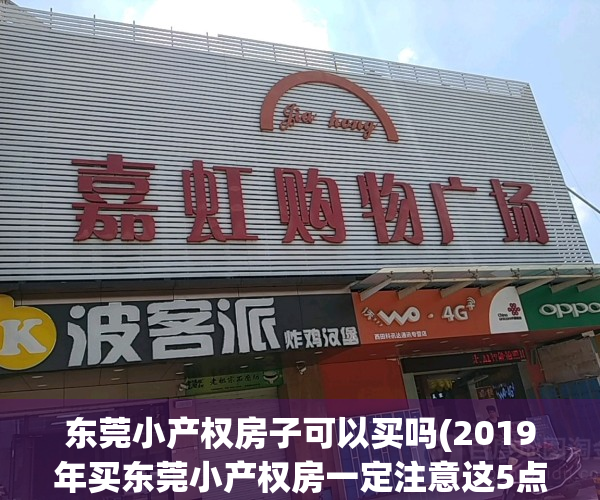 东莞小产权房子可以买吗(2019年买东莞小产权房一定注意这5点)