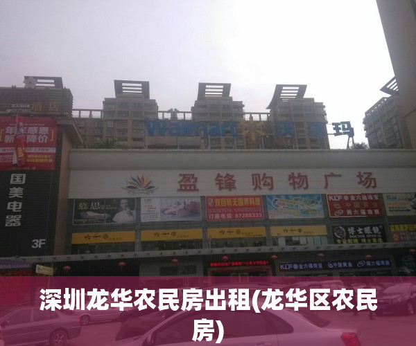 深圳龙华农民房出租(龙华区农民房)