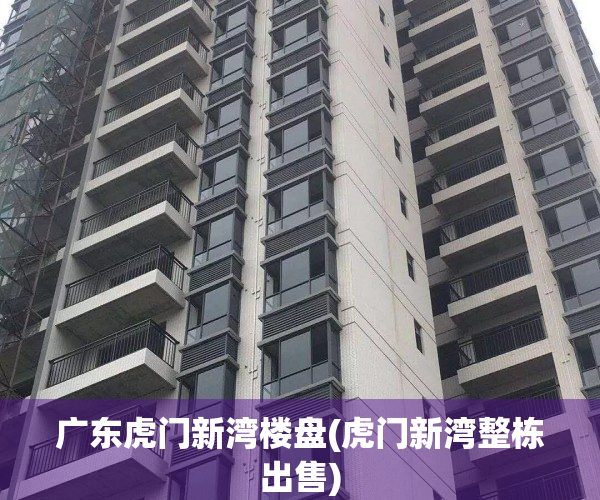 广东虎门新湾楼盘(虎门新湾整栋出售)