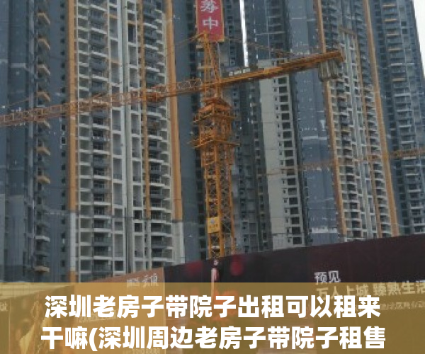 深圳老房子带院子出租可以租来干嘛(深圳周边老房子带院子租售)