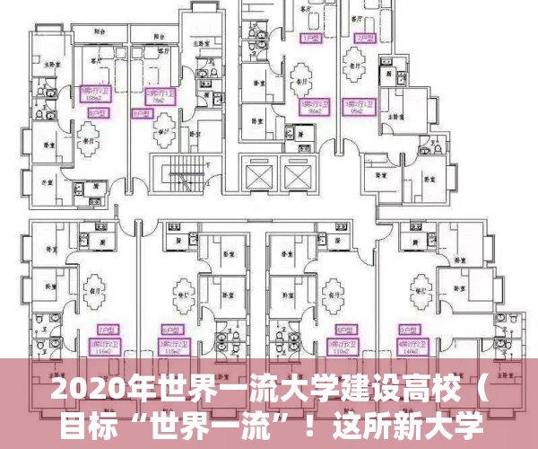 2020年世界一流大学建设高校（目标“世界一流”！这所新大学，获全力支持筹建）