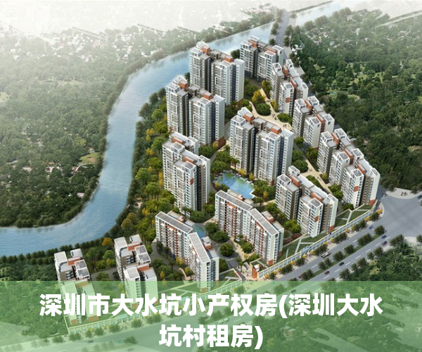 深圳市大水坑小产权房(深圳大水坑村租房)