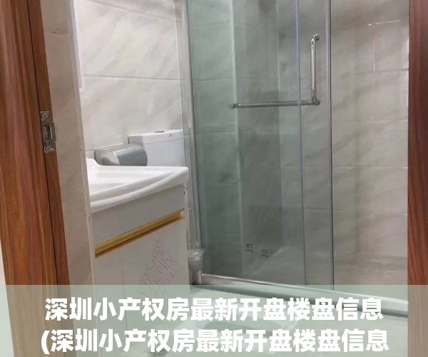 深圳小产权房最新开盘楼盘信息(深圳小产权房最新开盘楼盘信息)