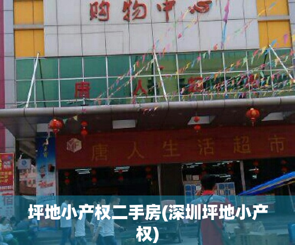 坪地小产权二手房(深圳坪地小产权)