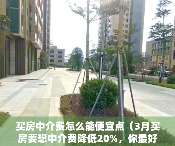 买房中介费怎么能便宜点（3月买房要想中介费降低20%，你最好掌握这5个小技巧！）