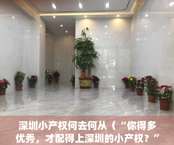 深圳小产权何去何从（“你得多优秀，才配得上深圳的小产权？”）(2021年深圳小产权怎么处理)