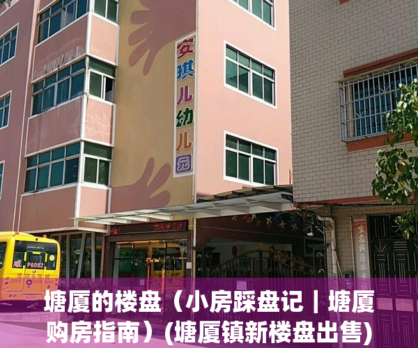 塘厦的楼盘（小房踩盘记｜塘厦购房指南）(塘厦镇新楼盘出售)