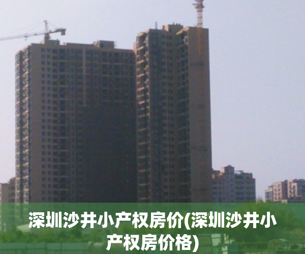 深圳沙井小产权房价(深圳沙井小产权房价格)