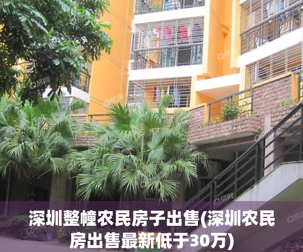 深圳整幢农民房子出售(深圳农民房出售最新低于30万)