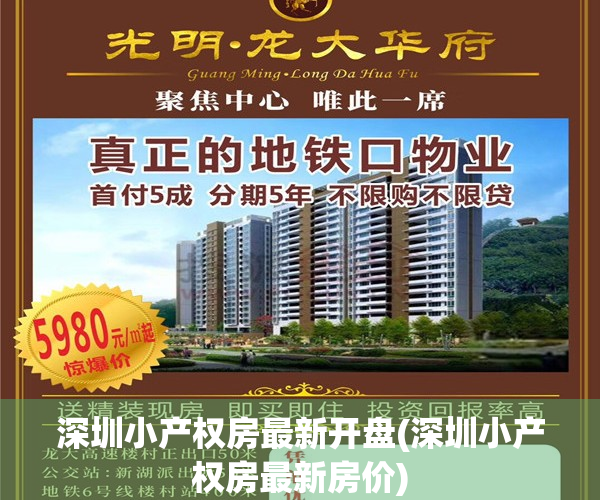 深圳小产权房最新开盘(深圳小产权房最新房价) 深圳小产权房最新开盘(深圳小产权房最新房价)