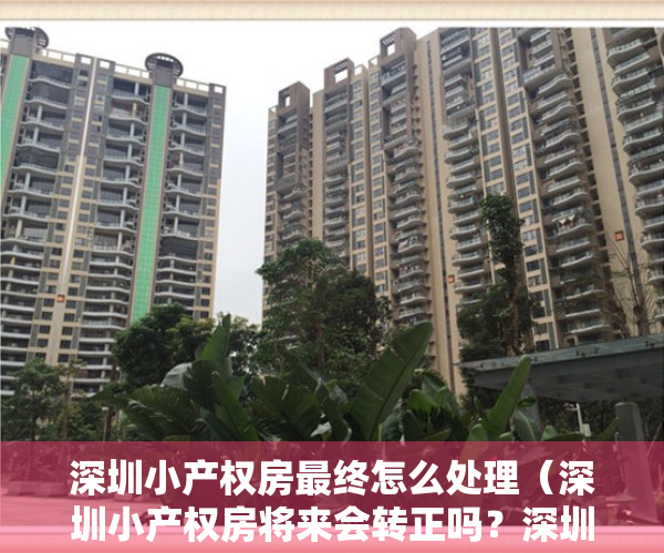 深圳小产权房最终怎么处理（深圳小产权房将来会转正吗？深圳是否有小产权转正的案例呢？）