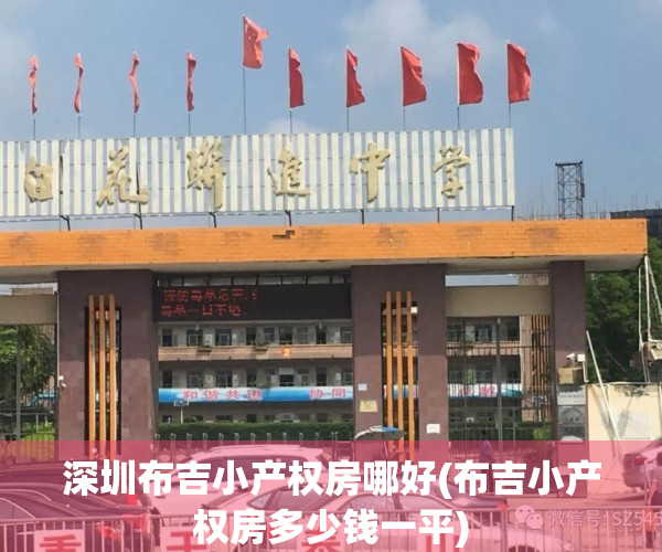 深圳布吉小产权房哪好(布吉小产权房多少钱一平)