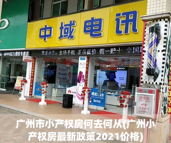 广州市小产权房何去何从(广州小产权房最新政策2021价格)