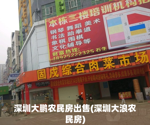 深圳大鹏农民房出售(深圳大浪农民房)