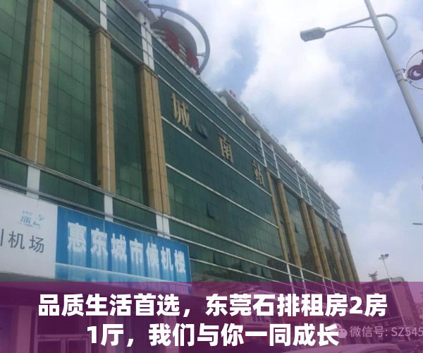 品质生活首选，东莞石排租房2房1厅，我们与你一同成长