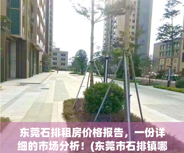 东莞石排租房价格报告，一份详细的市场分析！(东莞市石排镇哪里租房最便宜)