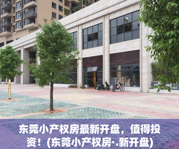 东莞小产权房最新开盘，值得投资！(东莞小产权房·.新开盘)