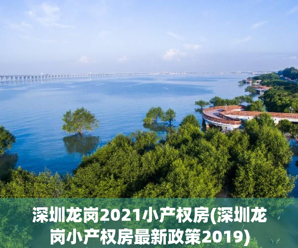 深圳龙岗2021小产权房(深圳龙岗小产权房最新政策2019)