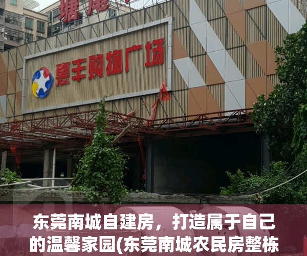东莞南城自建房，打造属于自己的温馨家园(东莞南城农民房整栋出售)