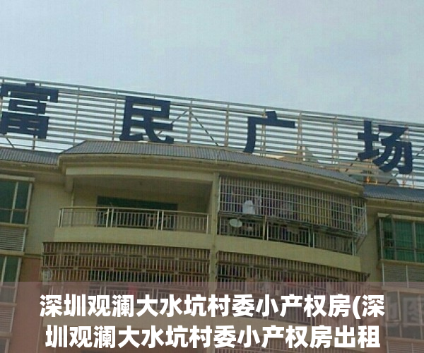 深圳观澜大水坑村委小产权房(深圳观澜大水坑村委小产权房出租)